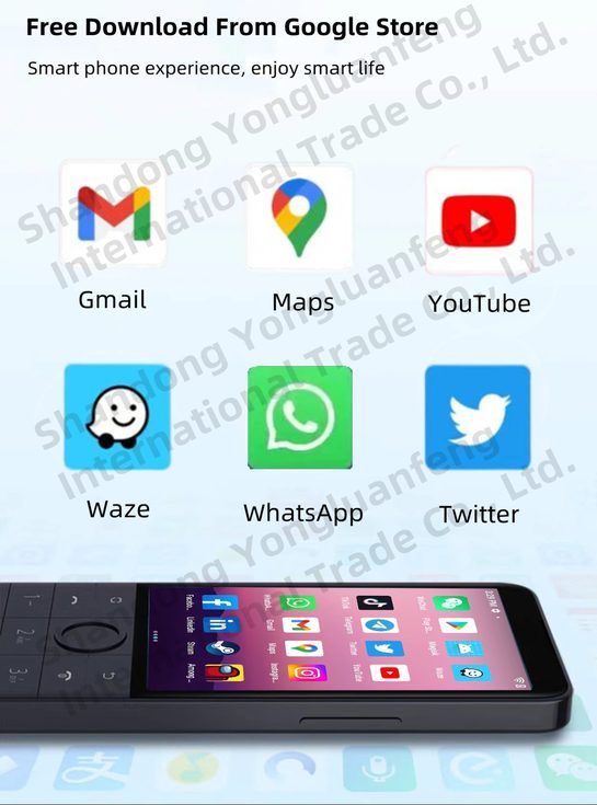 多亲Duoqin F22 Pro全球版，谷歌4G触屏智能手机，安卓12，包邮